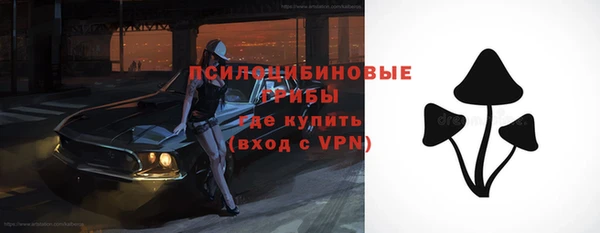 СК Сосновоборск